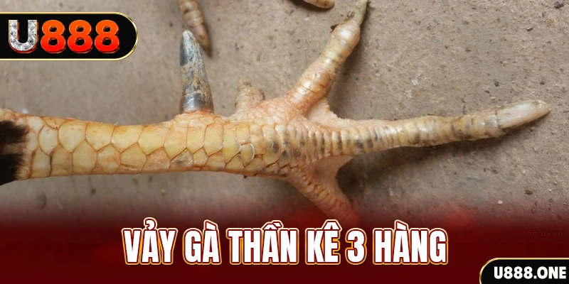 e2 bet nổ hũ đổi thưởng . ai