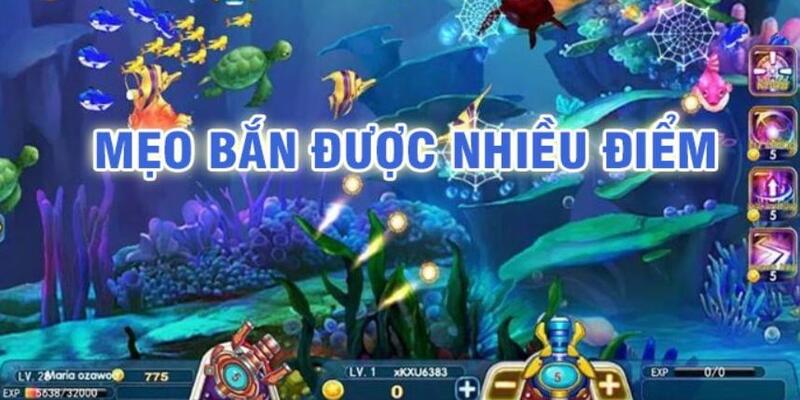 e2 bet đá gà