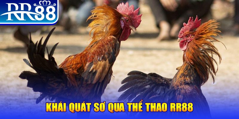 e2 bet baccarat bịp như thế nào