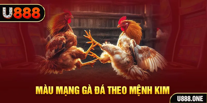 e2 bet gà chọi tiêu phong