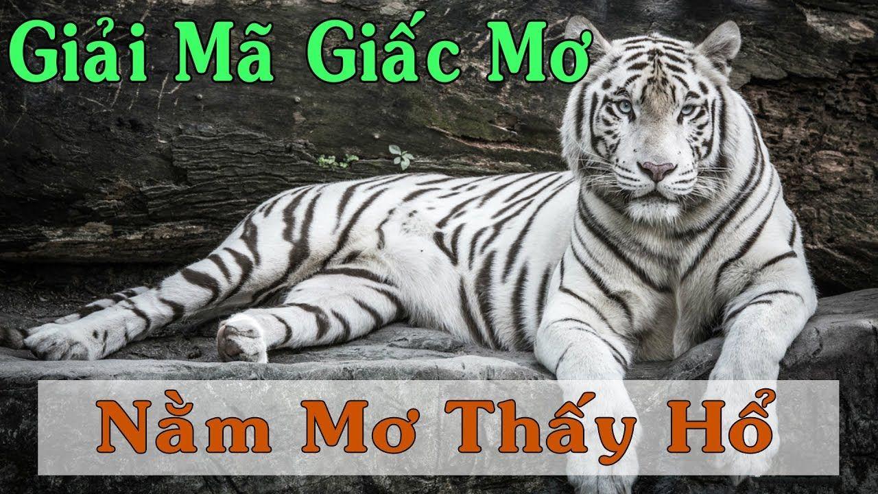 e2 bet xổ số miền trung
