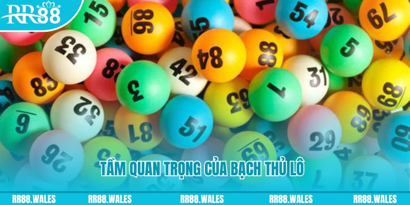e2 bet Ws168 Đá Gà