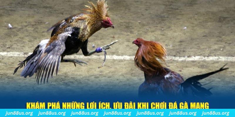 e2 bet Tài Xỉu 2