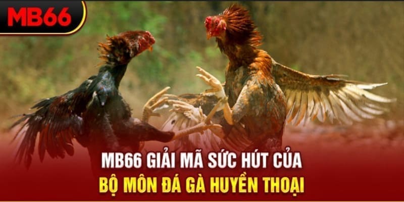 e2 bet long bảo trong baccarat là gì