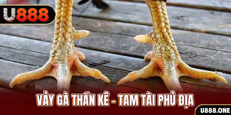 e2 bet xổ số 30 ngày