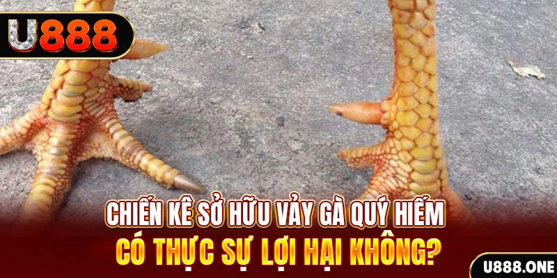 e2 bet game cá cược máy bay