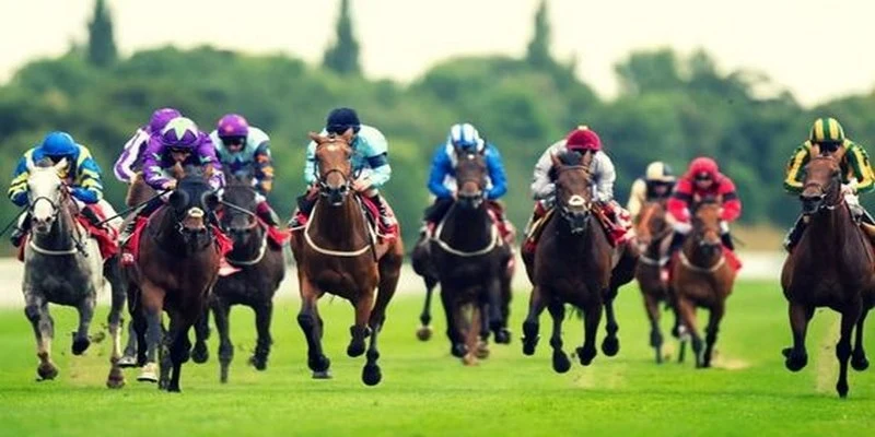 e2 bet xổ số miền bắc thứ hai
