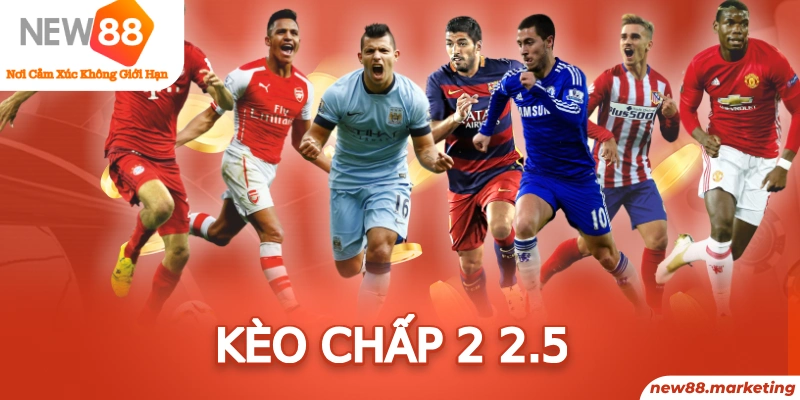 e2 bet trực tiếp đá gà thomo