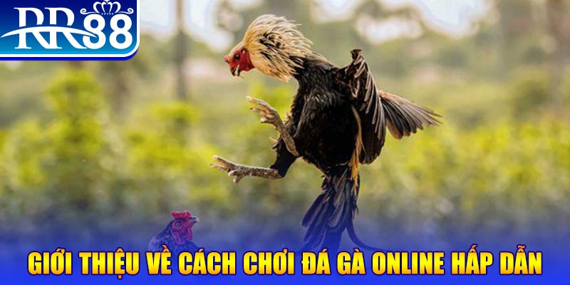 e2 bet nổ hũ 2 mặt là gì