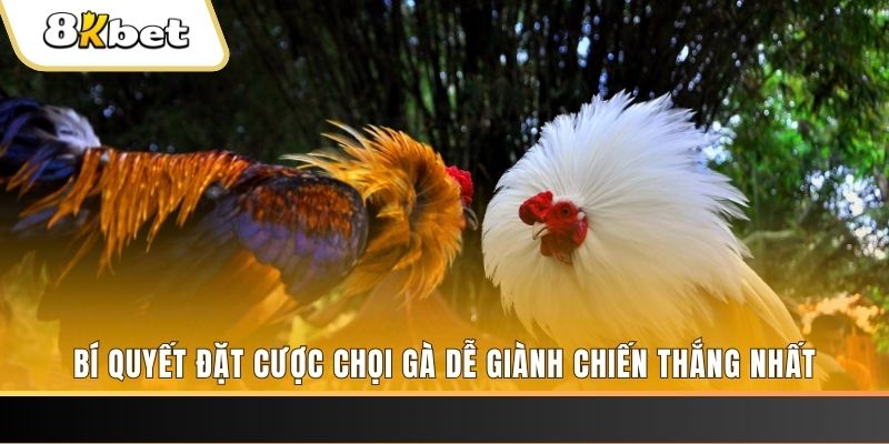 e2 bet may club nổ hũ