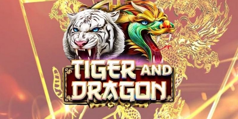 e2 bet cá cược tiếng anh là gì