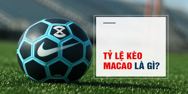e2 bet Trăm Knorr